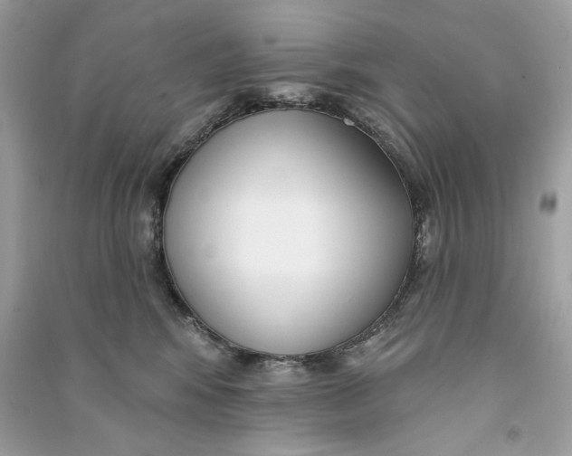 X0000090750424200708101729