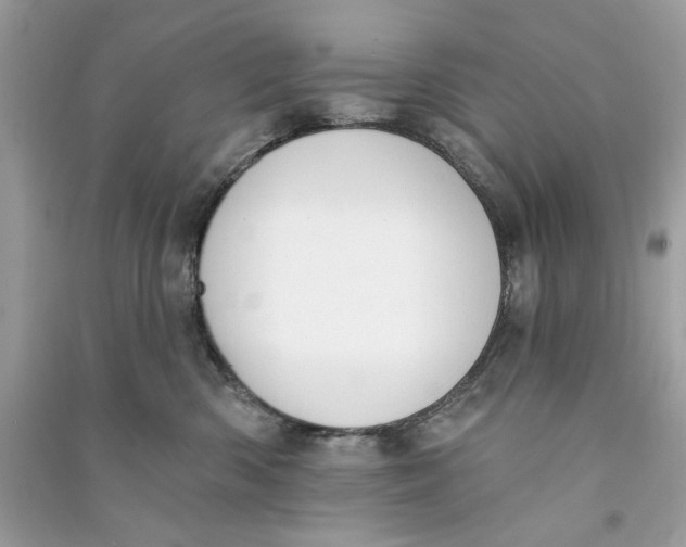 X0000090750426200708101729