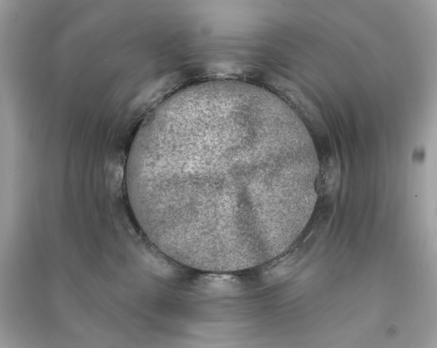 X0000090750427200708101729