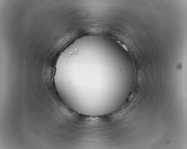 X0000090750428200708101729