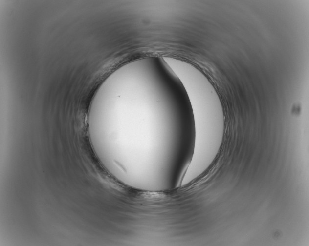 X0000090750429200708101729