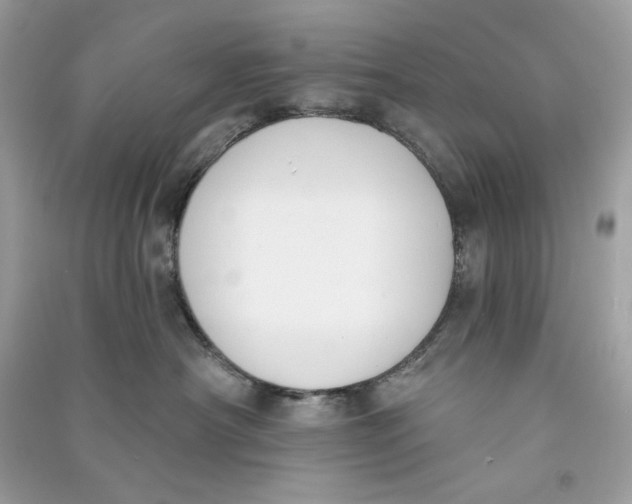 X0000090750430200708101729