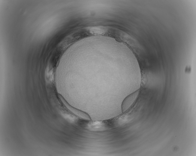 X0000090750431200708101729