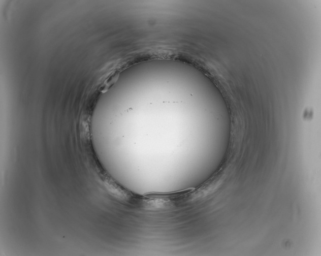 X0000090750432200708101729