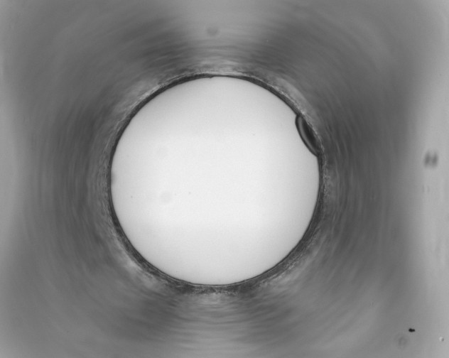 X0000090750433200708101728