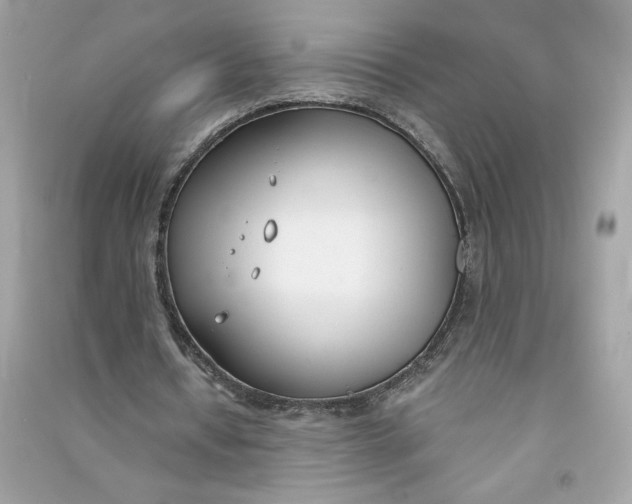 X0000090750434200708101728