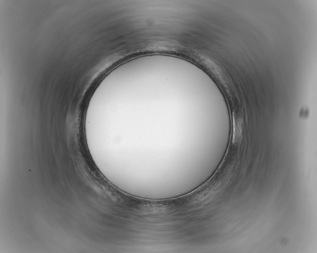 X0000090750435200708101728