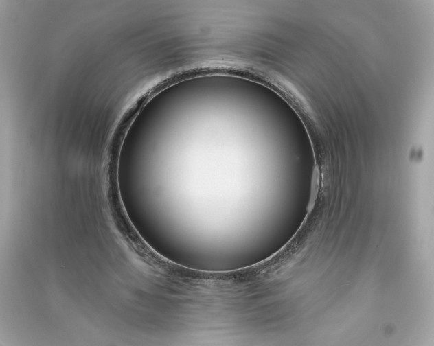 X0000090750436200708101728