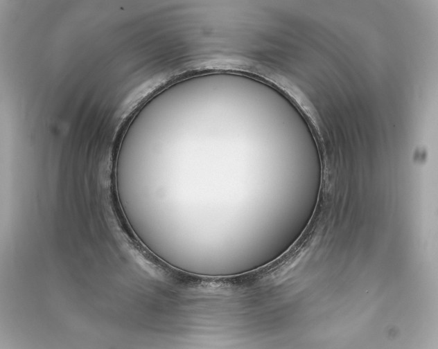 X0000090750437200708101728