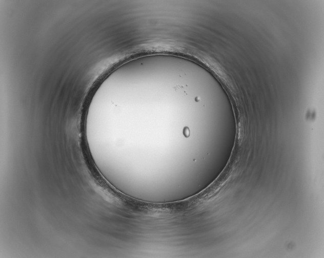 X0000090750438200708101728