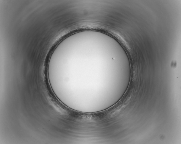 X0000090750439200708101728