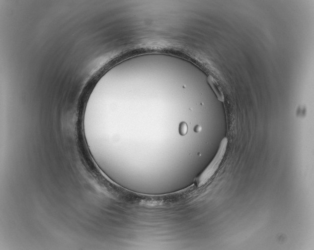 X0000090750440200708101728