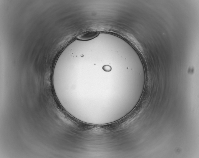 X0000090750441200708101728