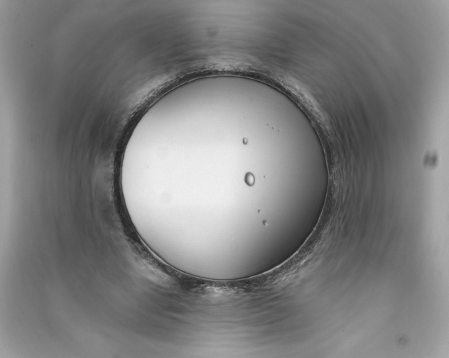 X0000090750442200708101728