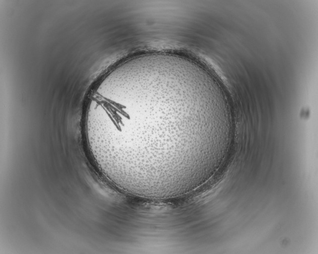 X0000090750443200708101728