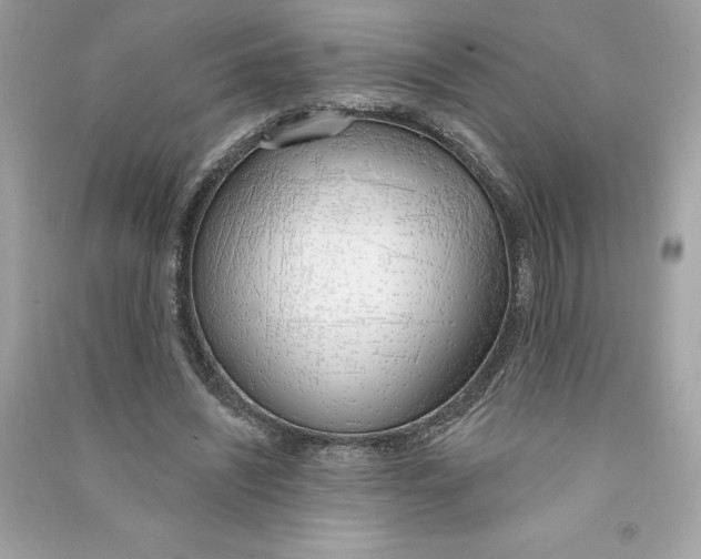 X0000090750444200708101728