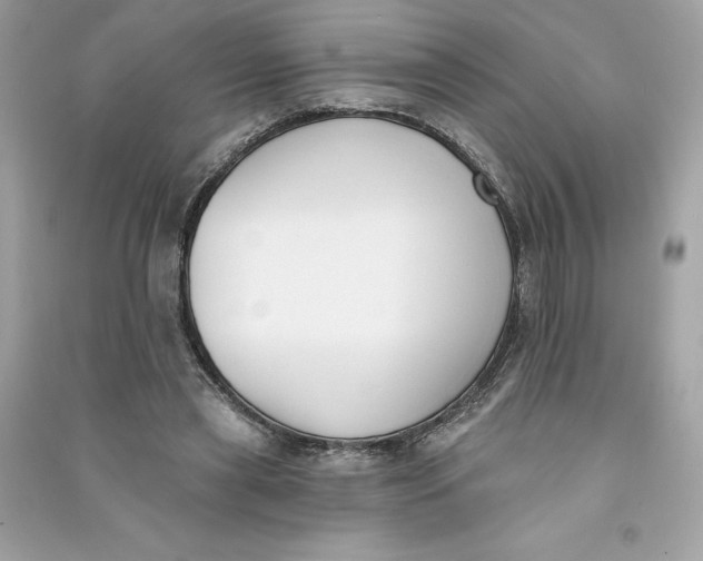 X0000090750445200708101728