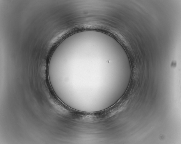 X0000090750446200708101728