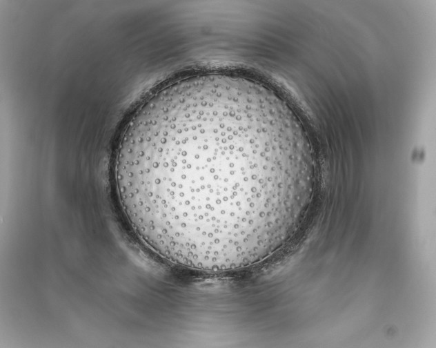 X0000090750447200708101728