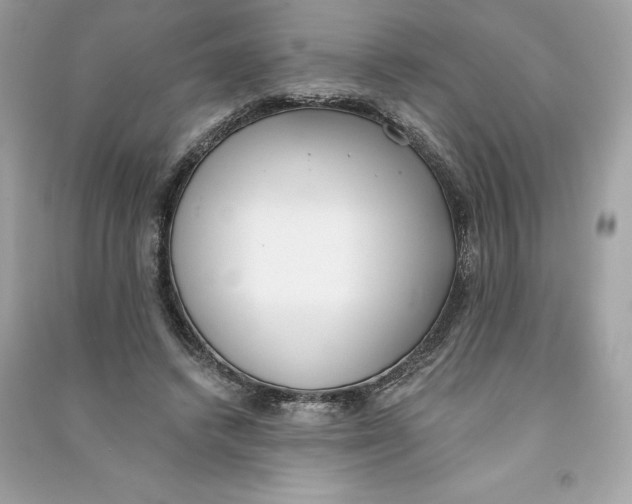 X0000090750448200708101728