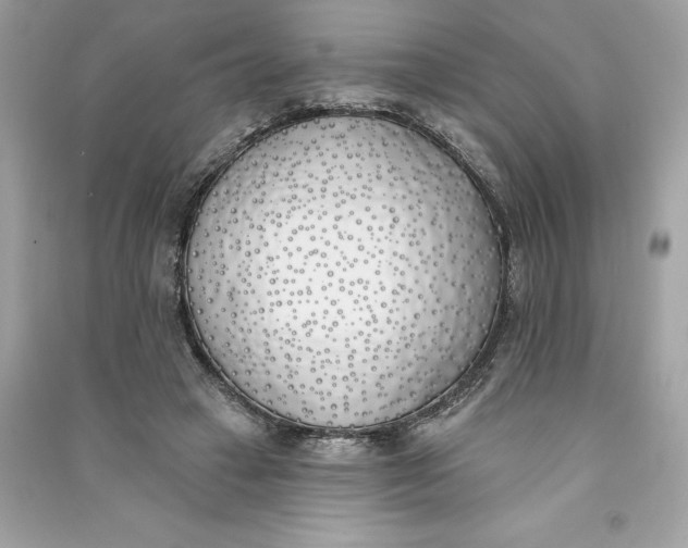 X0000090750449200708101728