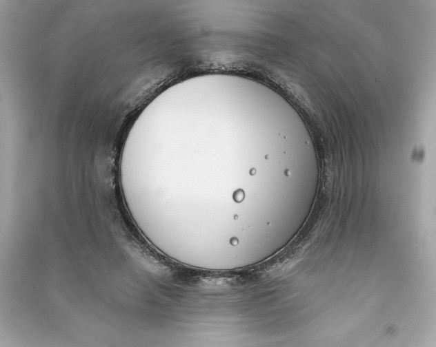 X0000090750450200708101728