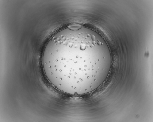 X0000090750451200708101728