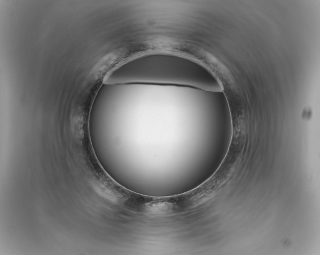 X0000090750452200708101729