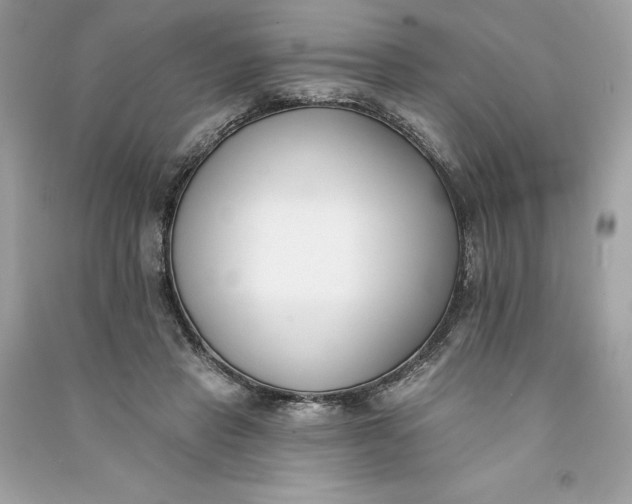 X0000090750453200708101729