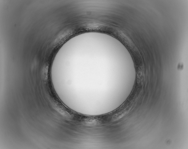 X0000090750454200708101729