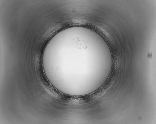 X0000090750455200708101729