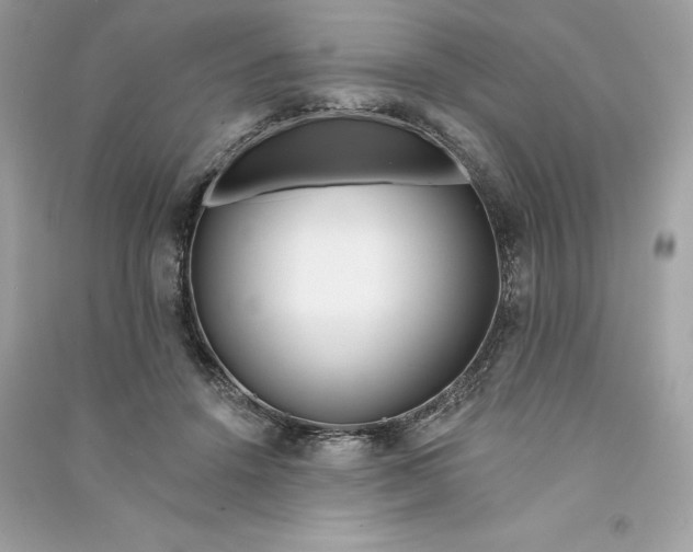 X0000090750456200708101729