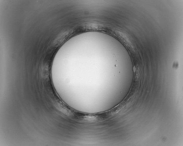 X0000090750457200708101729