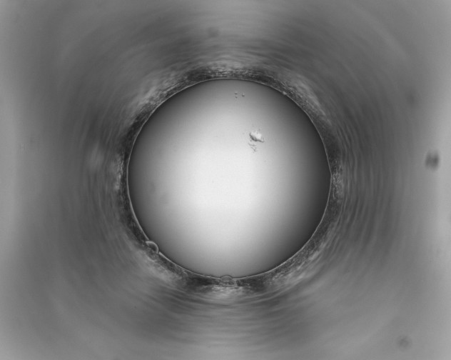 X0000090750458200708101729