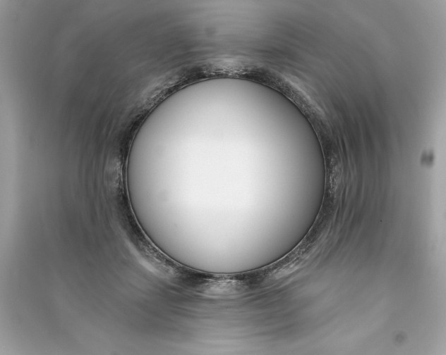 X0000090750459200708101729