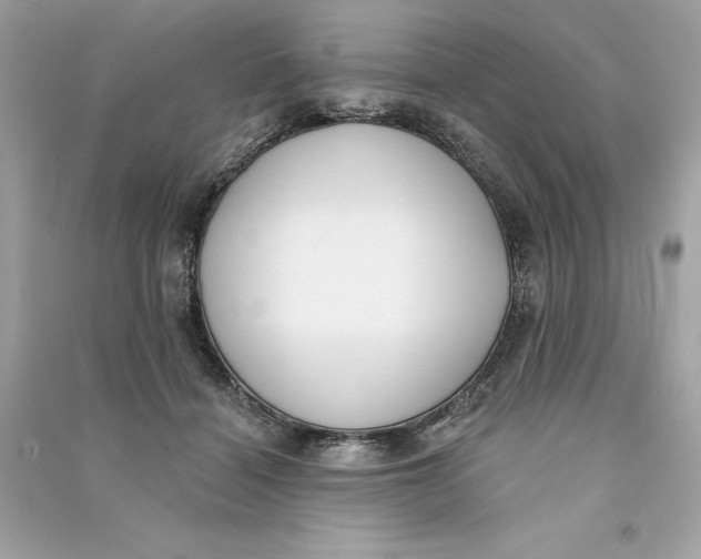 X0000090750460200708101729