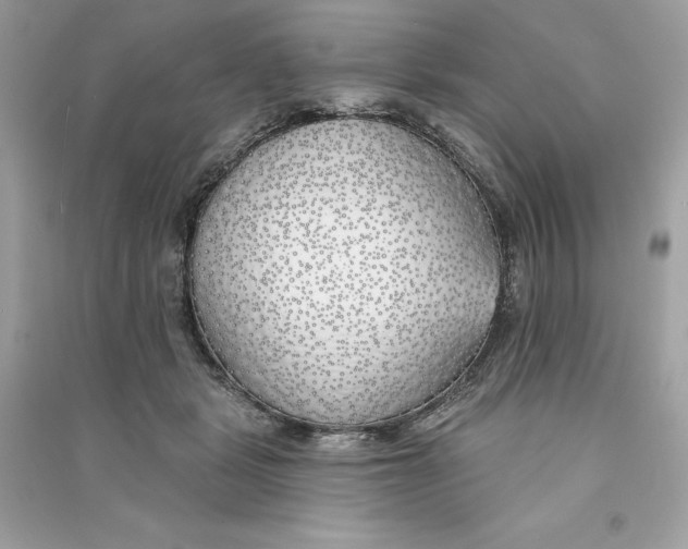 X0000090750461200708101729