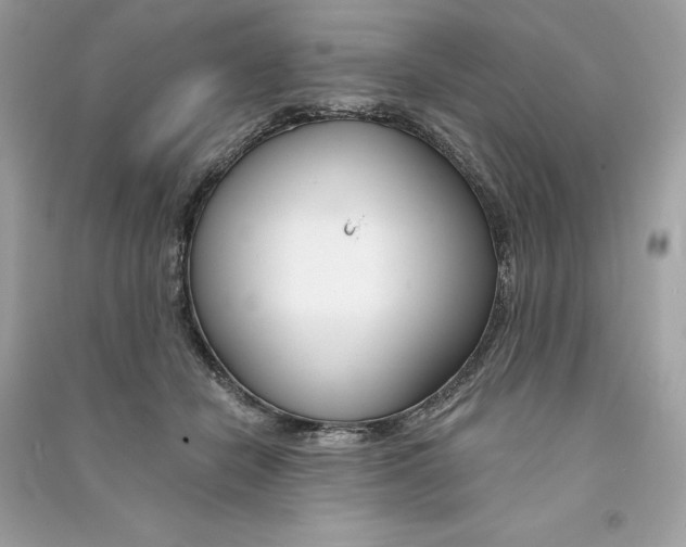 X0000090750462200708101729