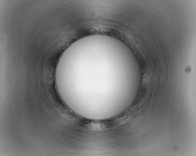 X0000090750464200708101729