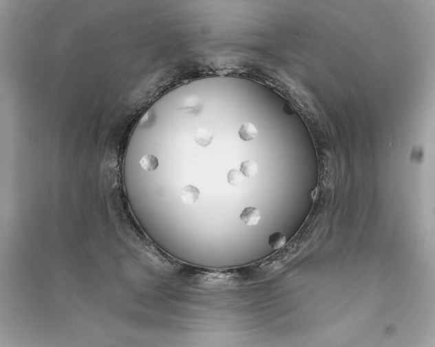 X0000090750465200708101729