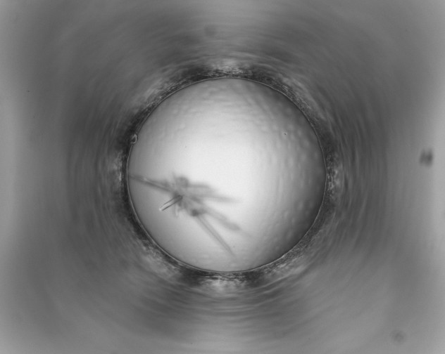 X0000090750466200708101729