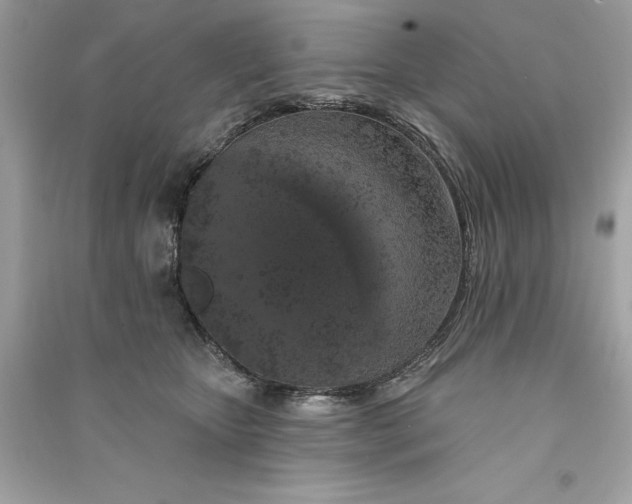 X0000090750467200708101729