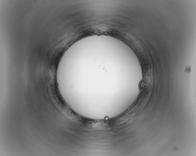 X0000090750468200708101729