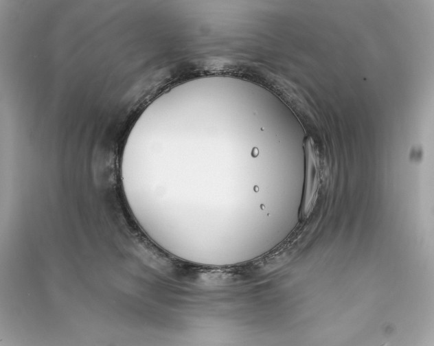 X0000090750470200708101729