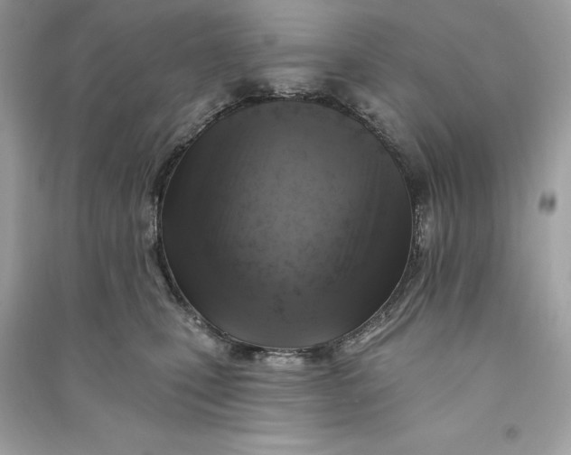 X0000090750471200708101729
