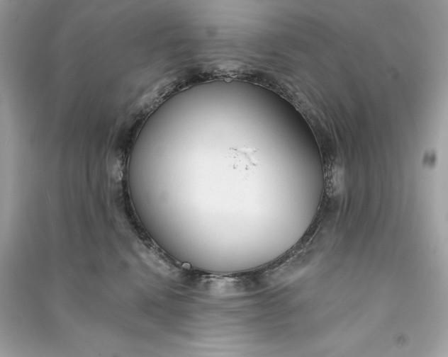 X0000090750472200708101729