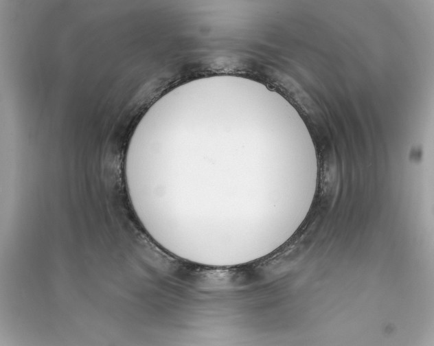 X0000090750473200708101729