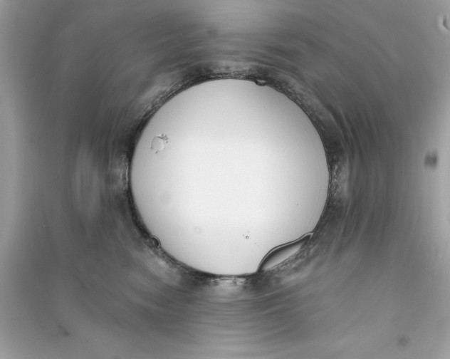 X0000090750474200708101729