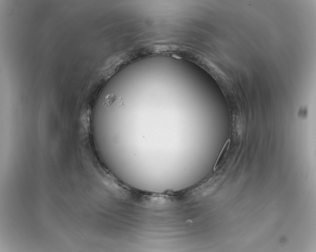 X0000090750475200708101729