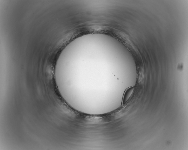 X0000090750476200708101729